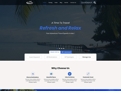 Travel Web Site Desigen UX/UI