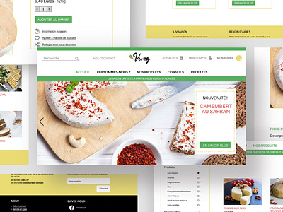Viveg website concept website design websites