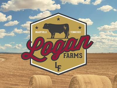 Logan Beef apparel branding cow design farm icon illustration logo rural tennessee typography vector
