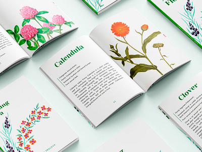 Plants book book books cover cover design design font photoshop poligraphy style typography