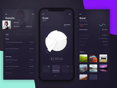 Estimate expense app app bank cost dark electricity goal graph image iphone money pay payment transactions water