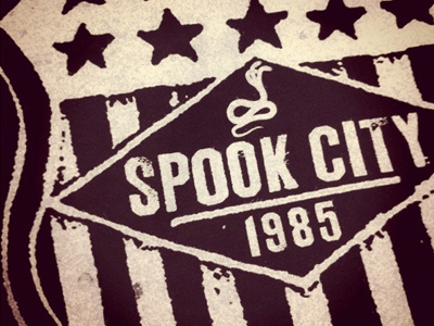 Spook City Shield texture vintage