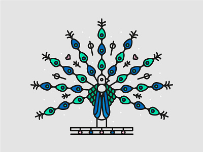 Peacock