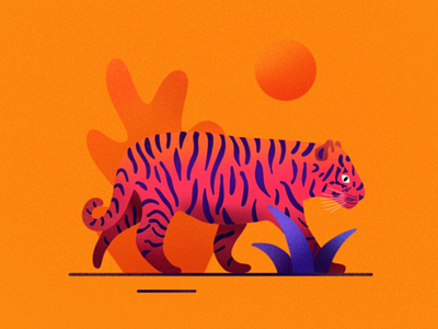 Tiger jungle pink sun tiger