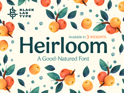 Heirloom: A Good Natured Font 1970s arts and crafts bulbous commercial fonts crafts display font floral friendly lettering natural nature organic packaging poster font retro font rounded font signage typography vintage font vintage lettering