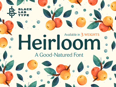 Heirloom: A Good Natured Font