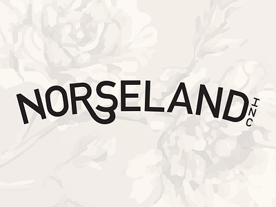 Norseland Identity Concept branding branding design design idenity logo typography wordmark wordmark logo