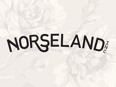 Norseland Identity Concept