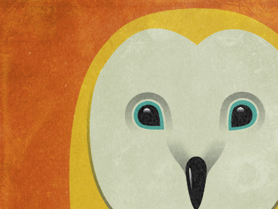 Hooo illustration owl vector