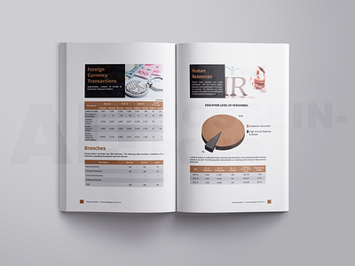 Parsian bank Annual report