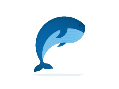 Whale illustration whale