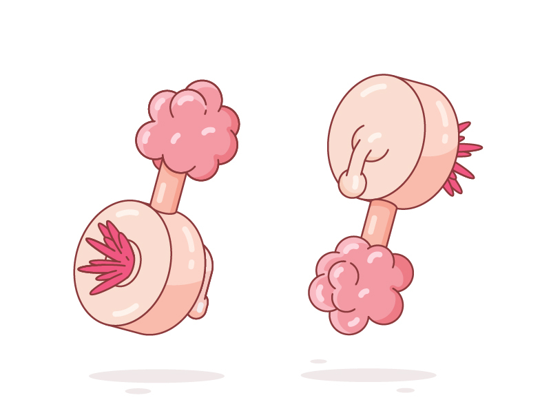 plumbus figure