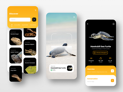 Exploration #1 - Reptile Snap animal app augmented reality camera design ecosystem machine learning photo reptile scan scanner scanning ui ux virtual