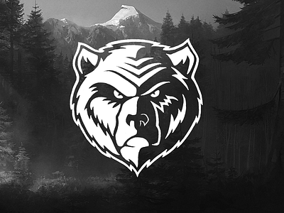 Bears #3 bear head logo logotype russian sketch