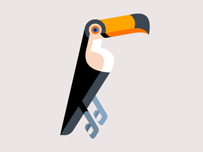 Toco Toucan WIP