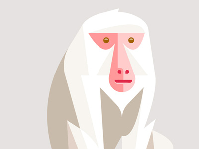 Japanesemacaquedribbble