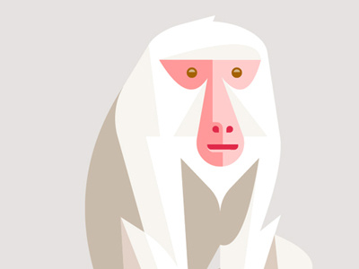 Japanese Macaque brill character design illustration japanese josh lumadessa macaque primate print