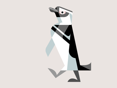 Magellanic Penguin WIP animal artwork brill design illustration josh lumadessa magellanic penguin