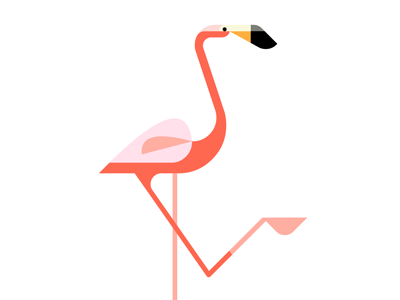 Flamingo WIP afwip art bird brill design flamingo josh wip