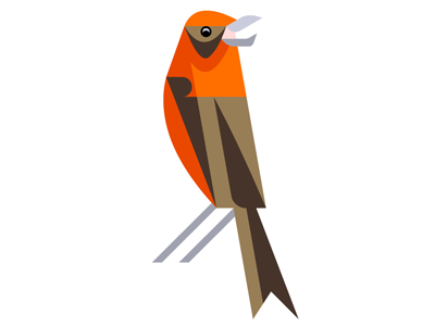 Scottish Crossbill WIP afwip art bird brill crossbill josh scottish wip