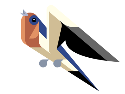 Barn Swallow WIP