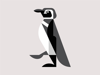 Magellanic Penguin WIP art artwork bird branding design illustration logo magellanic penguin penguin