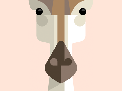 Giraffe Portrait art design giraffe illustration josh brill lumadessa portrait