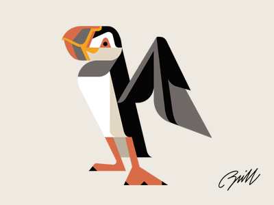 Atlantic Puffin character design study art atlantic brill character design josh puffin study