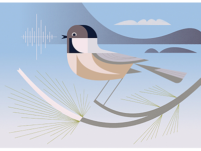 Chickadee Dee Dee by Josh Brill on Dribbble