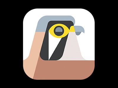 American Kestrel Icon american app art artwork bird design icon illustration kestrel