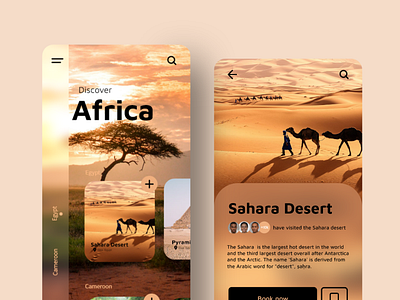 African Tour App app design ui uidesign uidesigner