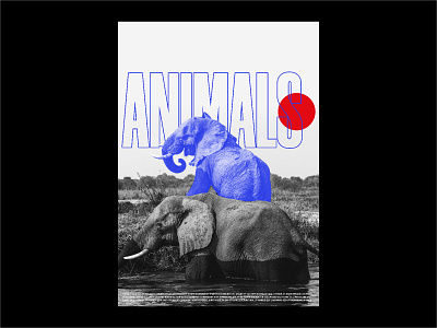 Animals - Elephant artwork baugasm best posters brand identity concept designchallenge everydaydesign everydayposter graphic design graphicindex icographica illustration instagram poster poster collection posteraday posters type typographic poster typography