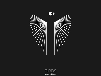 Birds Series 01