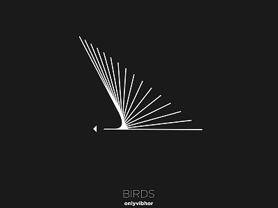 Birds Series 02