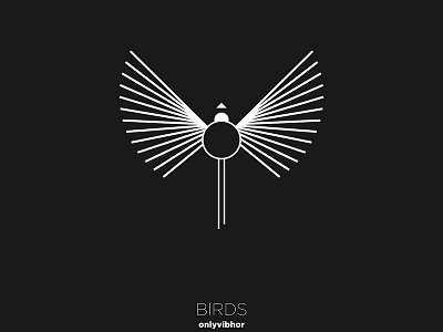 Birds Series 03