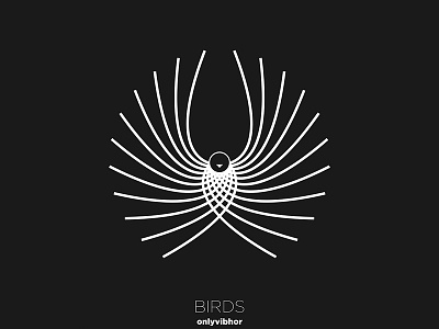 Birds Series 04