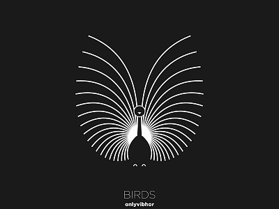 Birds Series 06