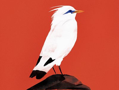 Bird 50s animal bird cartoon design drawing editorial illustration illustration nature onga spot white