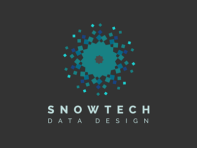 Snowtech - Logo Design brand identity data analysis data design logo logo brand mark logo design logo designer logomark logomarks logos logotype snow