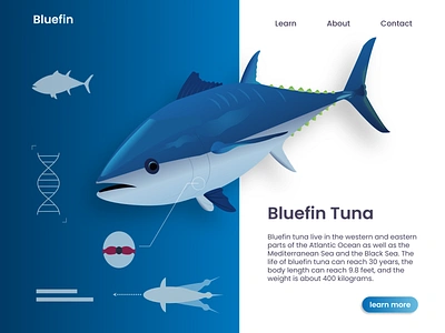 Bluefin bluefin dataviz deep sea deepblue design digitalart fish flat gradual change illustration illustrator ocean shadow tuna ui ux vector web webdesign website