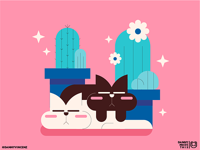 Sleepy Cats, Sleepy Plants cactus cat cats cute illustration illustrator kittens kitty plants sleepy succulent
