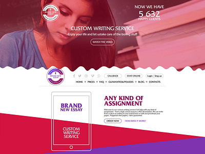 BrandNewAssay Custom Writing Service