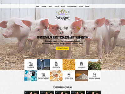 Astion Group Products for livestock and poultry agency creative agency design design agency development agency farm livestock poultry web web design web design agency