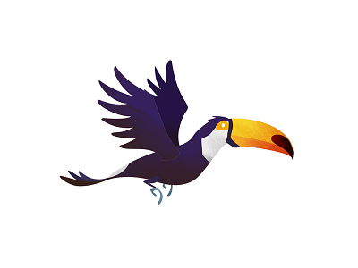 Wild Adventure - Toucan animals children flying illustration kids texture toucan wild