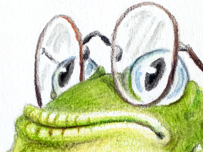 Frog animal colourpencil drawing frog fun