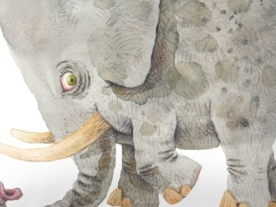 Elephant drawing animal colour pencil elephant illustration