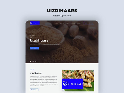 UIZDIHAARS - Website Optimation branding design development elementor graphic design illustration optimation seo typography ui ux vector website wordpress
