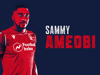 Sammy Ameobi