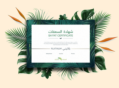 Sa'fat Certificate certificate flat graphic graphic design green plants tropical
