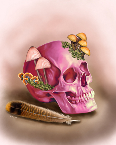 Skull and Feather design illustration